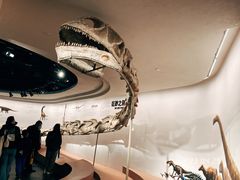 -自贡恐龙博物馆