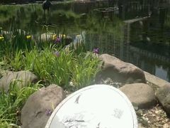 -苏州河梦清园环保主题公园