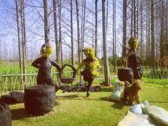 -上海长兴岛郊野公园