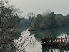 -西溪国家湿地公园