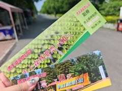 -渌洋湖湿地公园