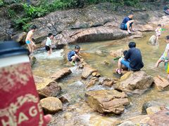 -广州白江湖森林公园