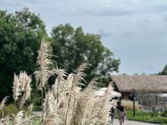 -良渚古城遗址公园