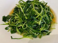 清炒马兰头-太湖饭店·寄畅轩中餐厅