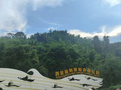 -西双版纳原始森林公园