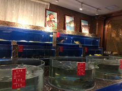 -百姓渔村(建设路店)