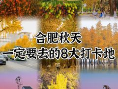 -合肥滨湖国家森林公园