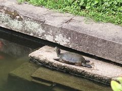 -宁波市保国寺古建筑博物馆