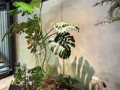 -J Create城市露营咖啡·简餐·宠物(上海动物园店)