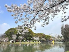 -潮府馆·非遗潮州菜·世纪公园(新国际博览中心店)
