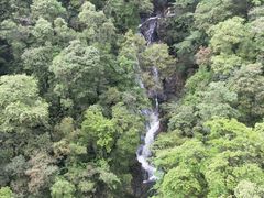 -九龙江国家森林公园