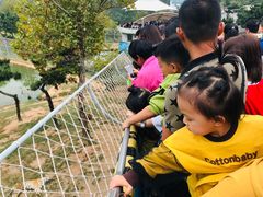 -西霞口神雕山野生动物世界