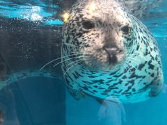 -成都浩海立方海洋公园