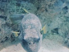 -福州罗源湾海洋世界旅游区