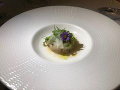 -蝶舍·MAISON PAPILLON