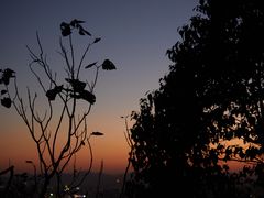 -杭州半山国家森林公园