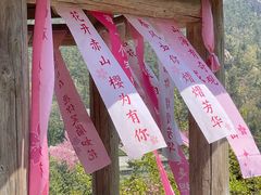 -石岛赤山风景区