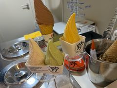 -野人先生现做冰淇淋(北京环宇荟店)