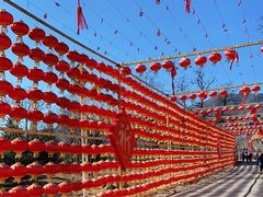 -北京凤凰岭