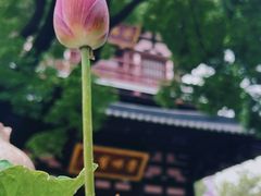 -寒山寺