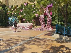 -青岛方特梦幻王国