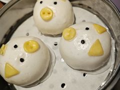 -老板恋上鱼(恒隆广场店)