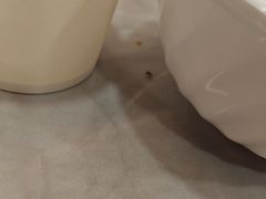 -台北楚楚园馅饼粥(虹桥南丰城店)