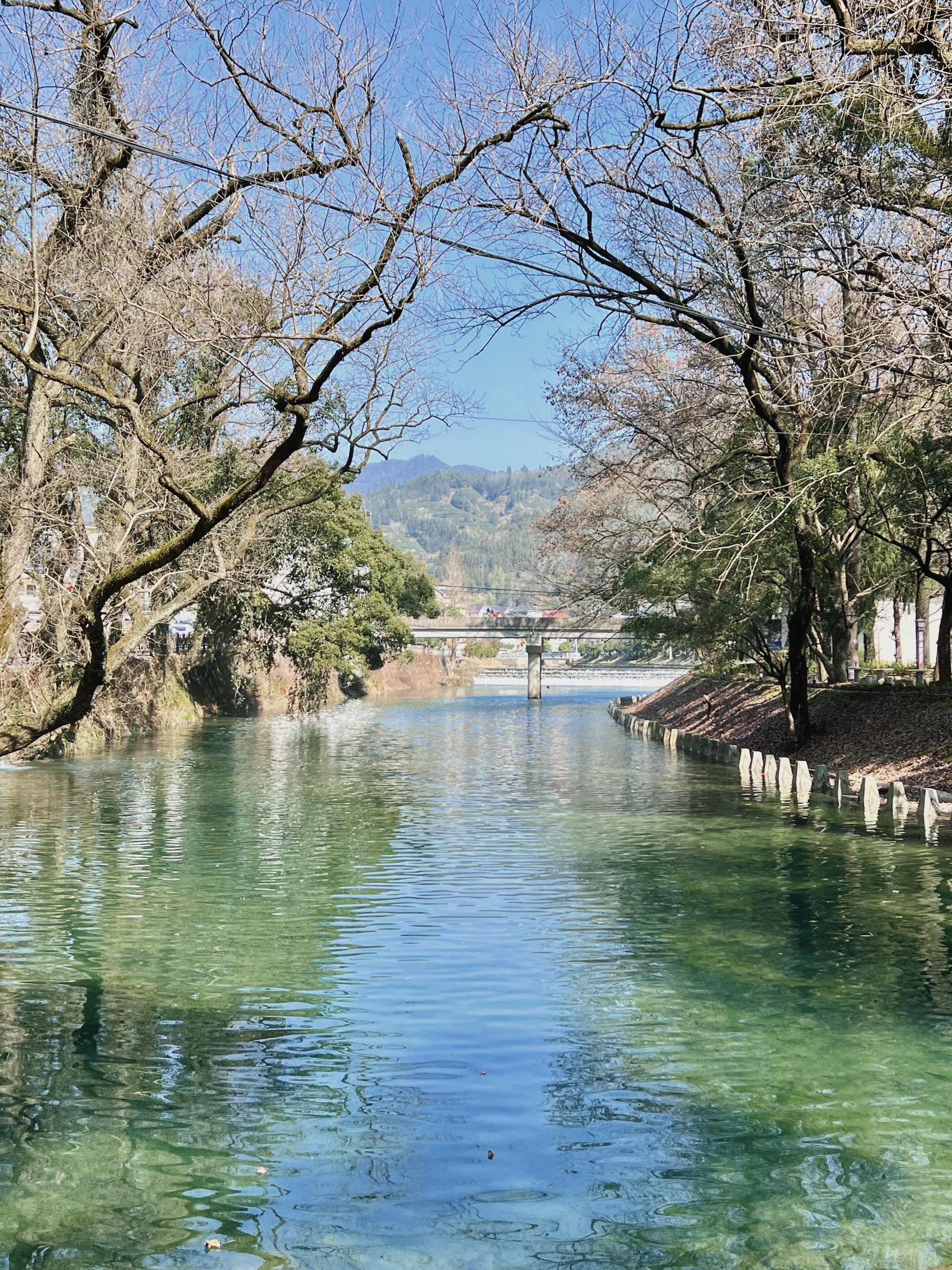 钱塘江发源地源头图片