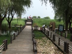 -太湖湖滨国家湿地公园-停车场