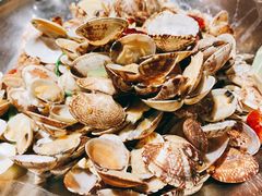 辣炒蛤蜊-永红源啤酒·烧烤·海鲜·大排档(青特城店)