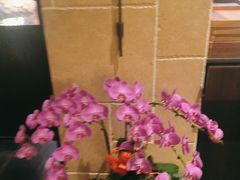 -荷风细雨·中国茶宴(碧云店)