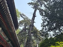 -潭柘寺景区