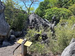 -千岛湖石林