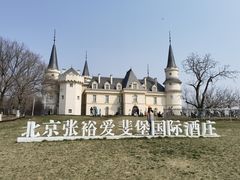 -北京张裕爱斐堡酒庄