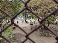 -森林公园(尖草坪区)