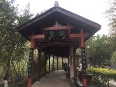 -重庆彩云湖湿地公园