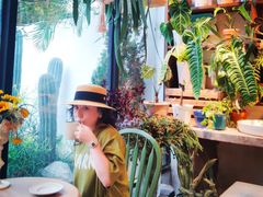 -自由生长植物工作室(深港花卉中心店)