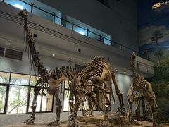 -自贡恐龙博物馆