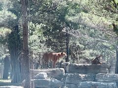 -秦皇岛野生动物园