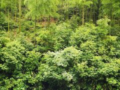 -将军关探险漂流