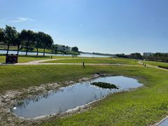 -春花秋色城市公园