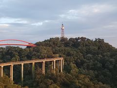 -金鸡山公园