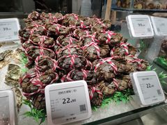 -超级物种·波龙工坊(国贸店)