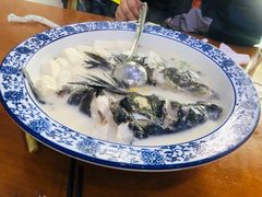 千岛湖浓汤鱼头-全乐鱼馆·淳牌有机鱼直营店