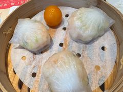 -点都德·毕德寮