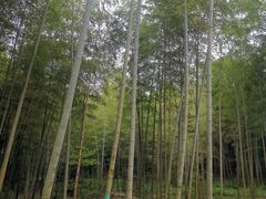 -陶祖圣境风景区