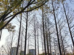 -宁波儿童公园(鄞州区)