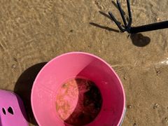 -东戴河风景区-止锚湾