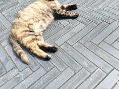 -终南山南五台景区