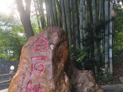 -广东温泉宾馆